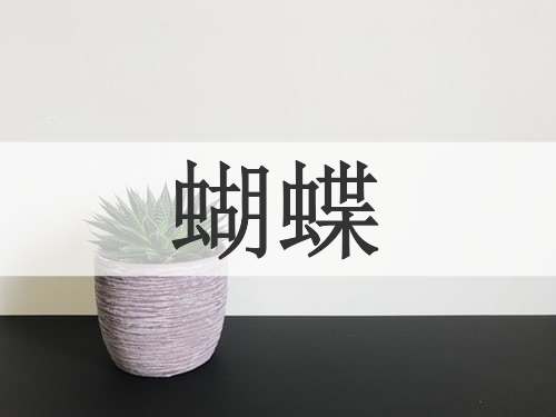 蝴蝶