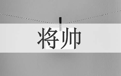 将帅