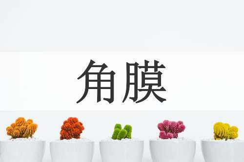 角膜