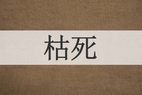 枯死