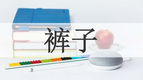 裤子