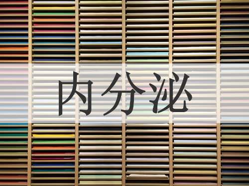 内分泌