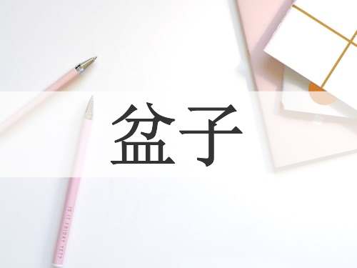 盆子