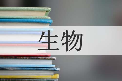 生物