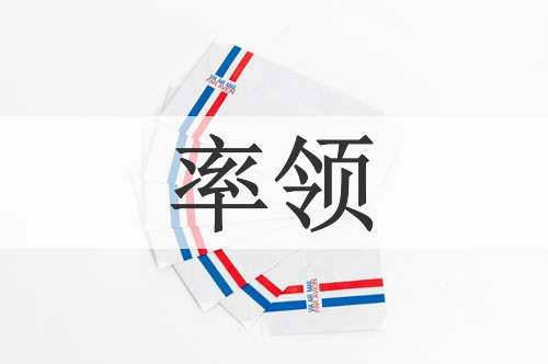 率领