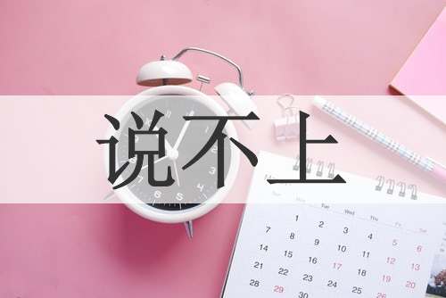 说不上