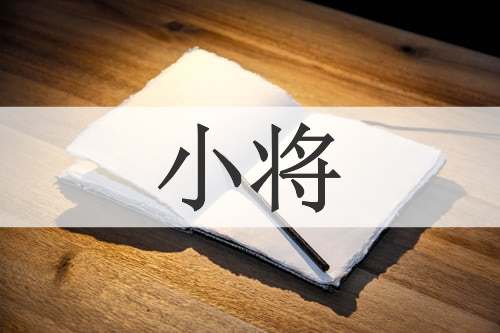 小将