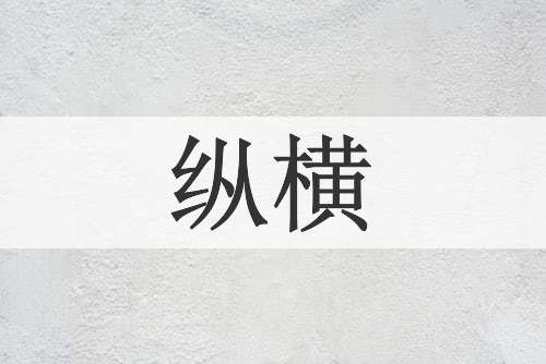 纵横