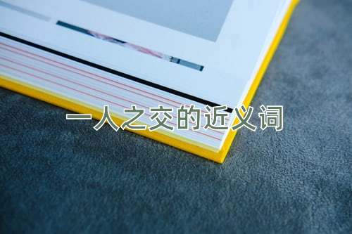 一人之交的近义词
