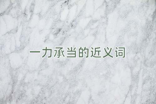 一力承当的近义词