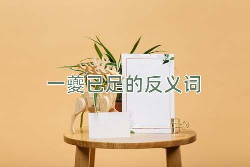 一夔已足的反义词