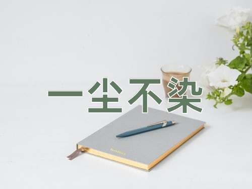 成语一尘不染