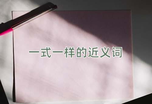 一式一样的近义词