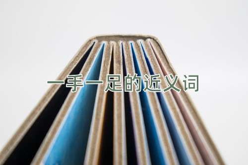 一手一足的近义词