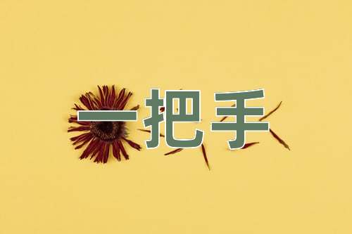 成语一把手