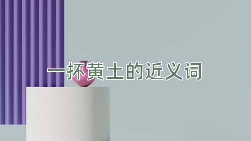 一抔黄土的近义词