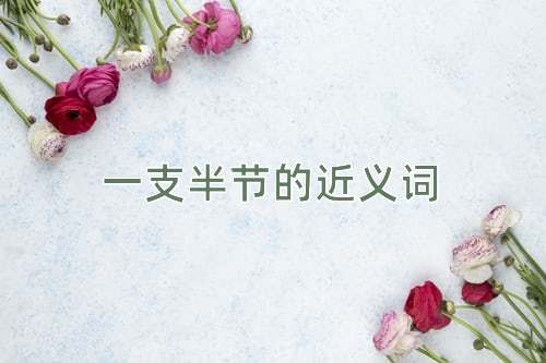 一支半节的近义词