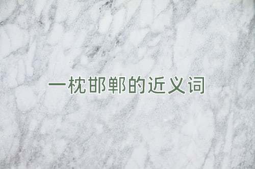 一枕邯郸的近义词