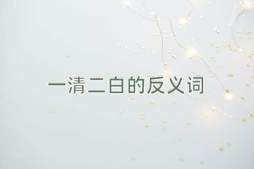 一清二白的反义词