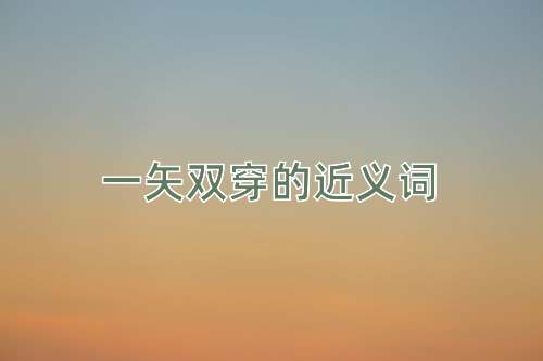 一矢双穿的近义词