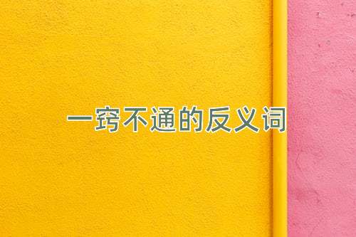 一窍不通的反义词