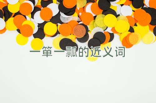 一箪一瓢的近义词