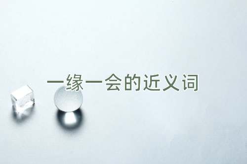 一缘一会的近义词