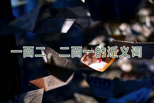 一而二，二而一的近义词