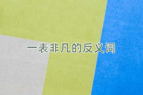 一表非凡的反义词