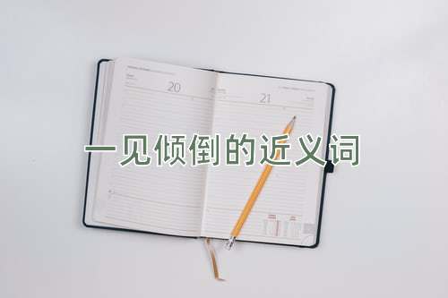 一见倾倒的近义词