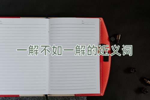 一解不如一解的近义词