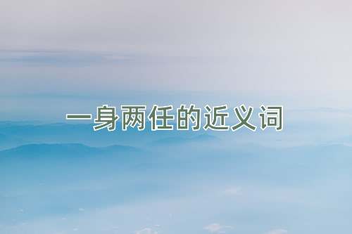 一身两任的近义词