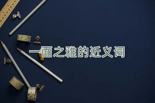 一面之雅的近义词