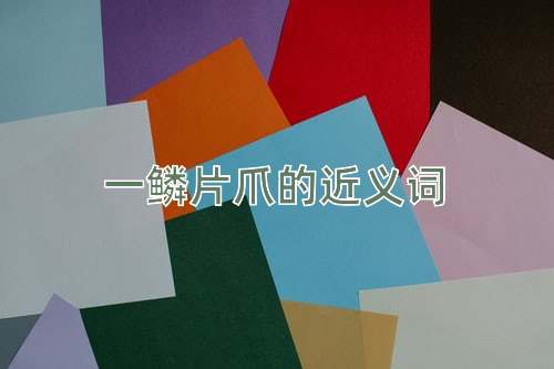 一鳞片爪的近义词