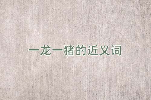一龙一猪的近义词