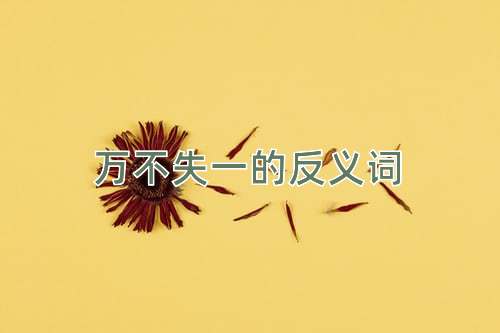 万不失一的反义词