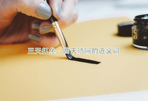 三天打鱼，两天晒网的近义词