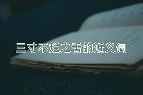 三寸不烂之舌的近义词