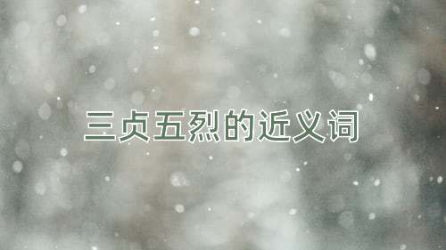 三贞五烈的近义词