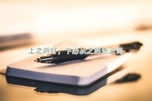 上之所好，下必从之的近义词