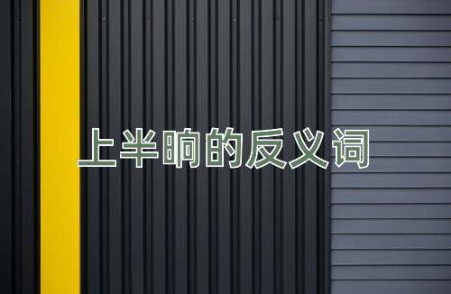 上半晌的反义词