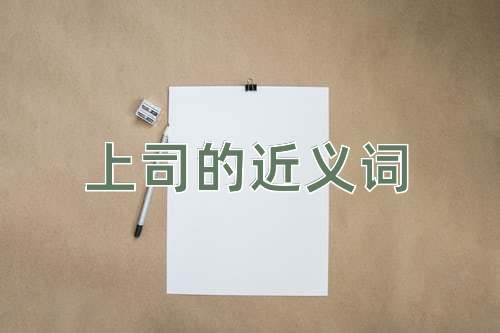 上司的近义词