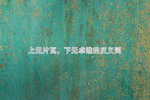 上无片瓦，下无卓锥的反义词