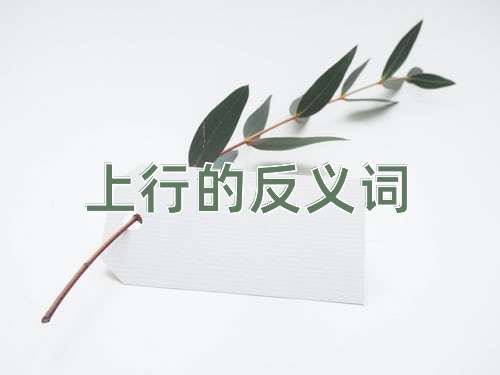 上行的反义词