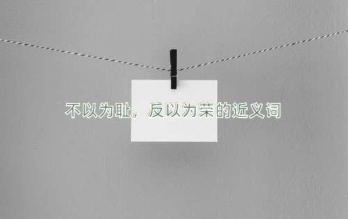 不以为耻，反以为荣的近义词