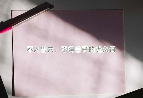 不入兽穴，不得兽子的近义词