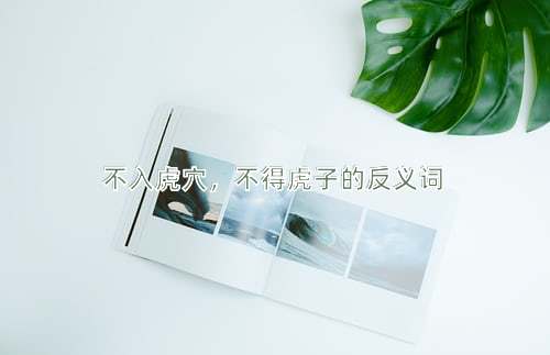 不入虎穴，不得虎子的反义词