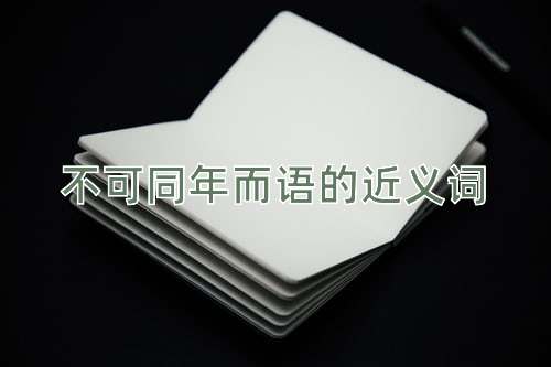 不可同年而语的近义词