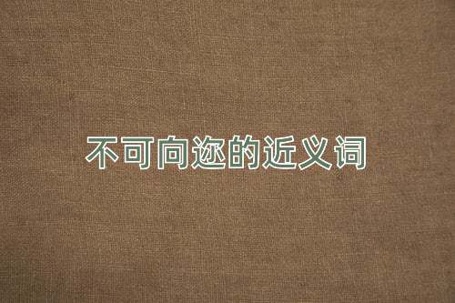 不可向迩的近义词