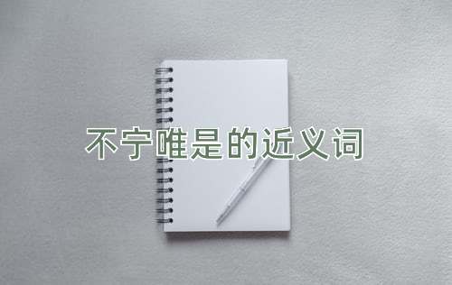 不宁唯是的近义词